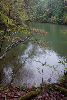 DSC09042.JPG