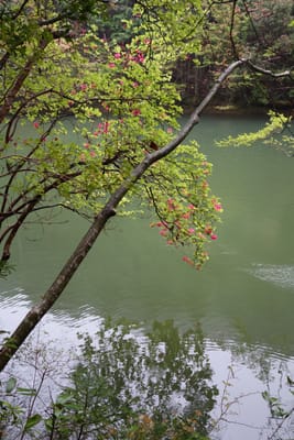 DSC09045.JPG