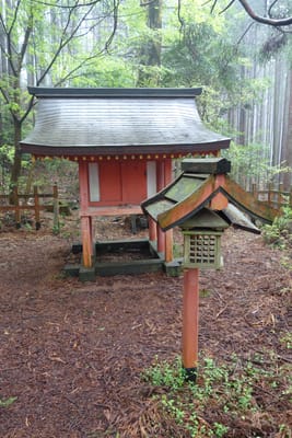 DSC09048.JPG