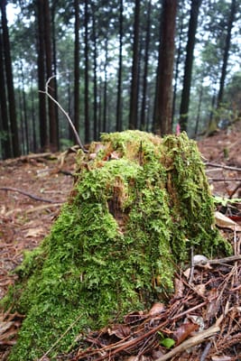 DSC09055.JPG