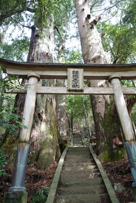 DSC09059.JPG