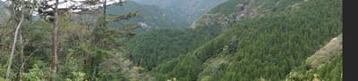 DSC09064.JPG