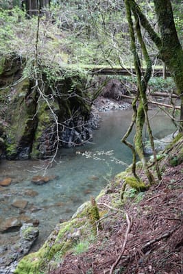 DSC09065.JPG