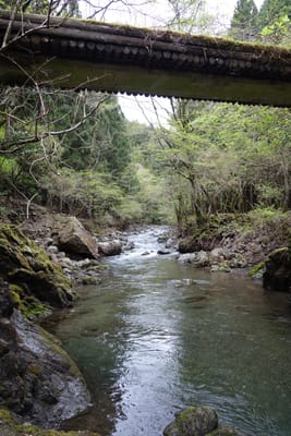 DSC09066.JPG