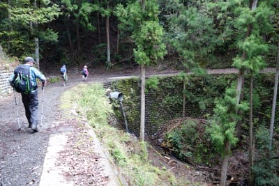 DSC09068.JPG