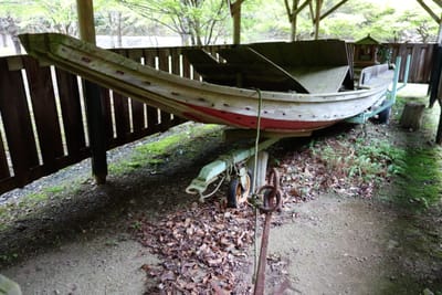 DSC09072.JPG