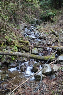 DSC09074.JPG