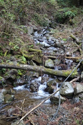 DSC09075.JPG