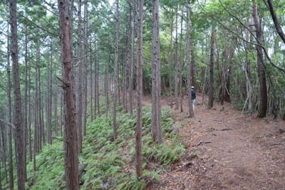DSC09076.JPG