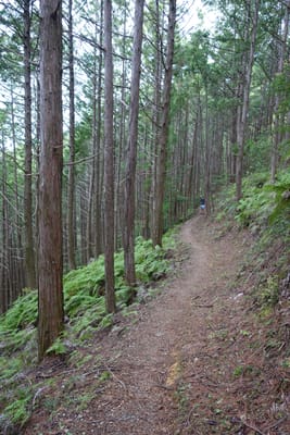 DSC09078.JPG