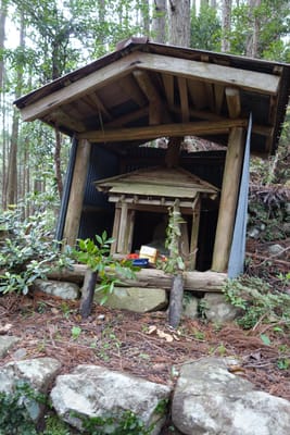 DSC09080.JPG