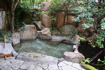 DSC09082.JPG