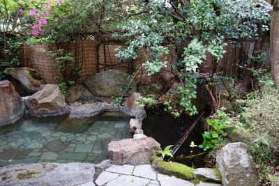DSC09083.JPG