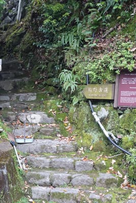 DSC09084.JPG