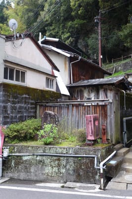 DSC09086.JPG