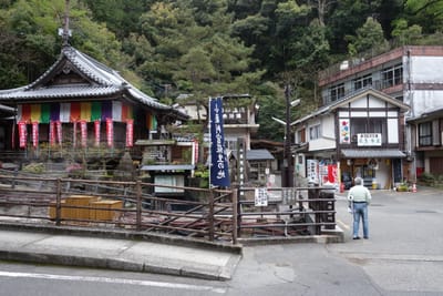 DSC09087.JPG