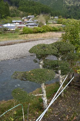 DSC_3757.JPG