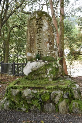 DSC_3758.JPG