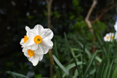 DSC_3775.JPG