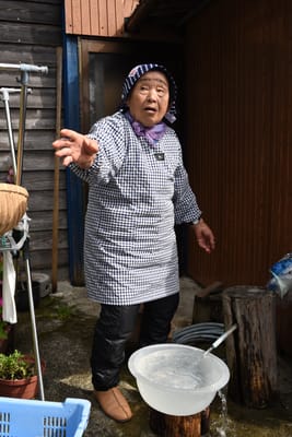 DSC_3780.JPG