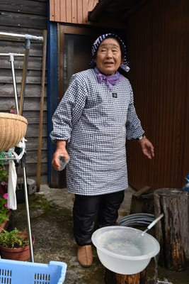 DSC_3781.JPG