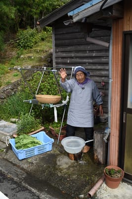 DSC_3787.JPG