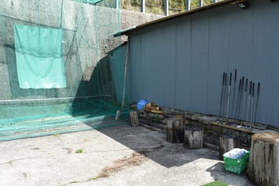 DSC_3790.JPG