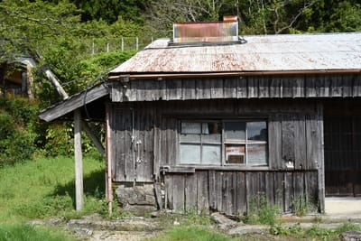 DSC_3793.JPG