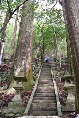 DSC_3796.JPG