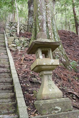 DSC_3806.JPG