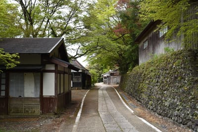 DSC_3809.JPG