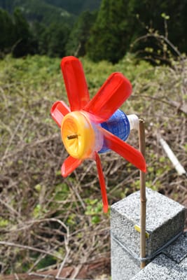 DSC_3811.JPG