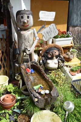 DSC_3814.JPG