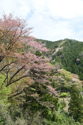 DSC_3819.JPG