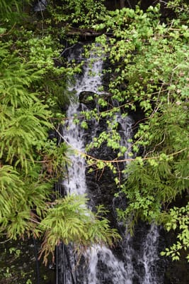 DSC_3820.JPG