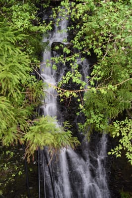 DSC_3821.JPG