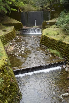DSC_3824.JPG