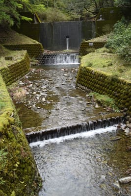 DSC_3825.JPG