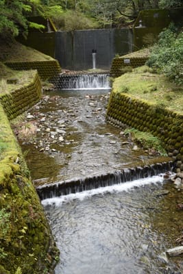 DSC_3826.JPG