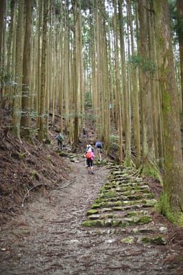 DSC_3827.JPG