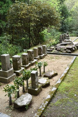 DSC_3828.JPG