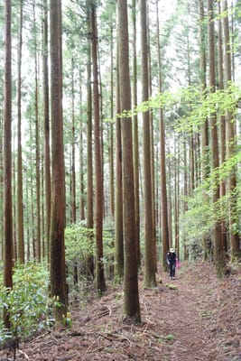 DSC_3833.JPG
