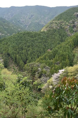 DSC_3840.JPG