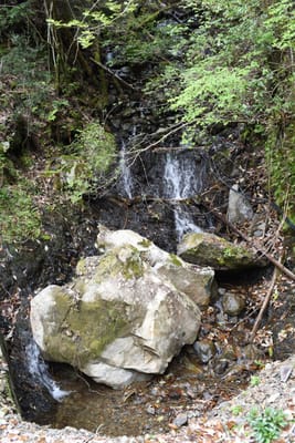 DSC_3845.JPG