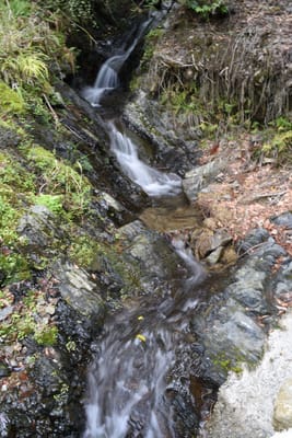 DSC_3846.JPG