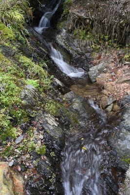 DSC_3848.JPG