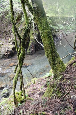 DSC_3855.JPG