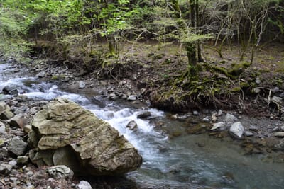 DSC_3857.JPG