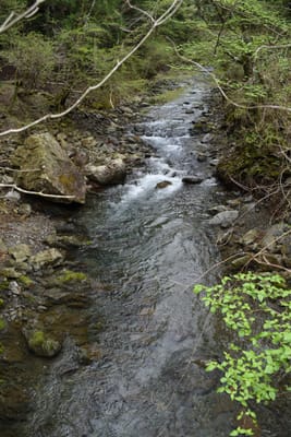 DSC_3865.JPG