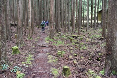 DSC_3866.JPG